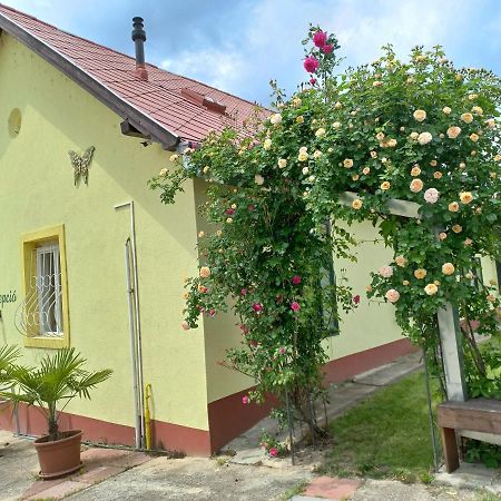 Bed and Breakfast Arnyas Park Apartmanhaz Балатональмади Экстерьер фото